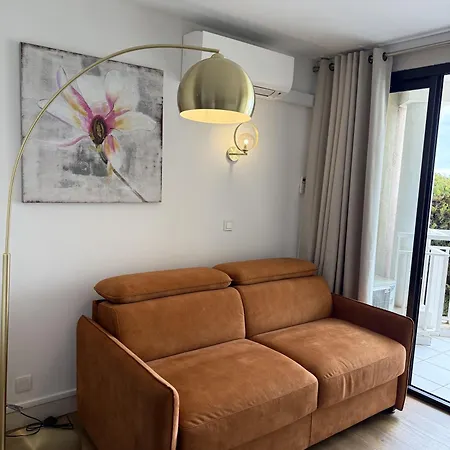 公寓 Un De Charme Vue & Piscine D'exception 戛纳